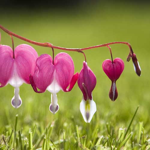 Download Flyer - Doris Weißenfels Download Flyer - Doris Weißenfels